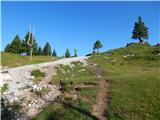 Kranjski Rak - Kapela Marije Snežne (Velika planina)